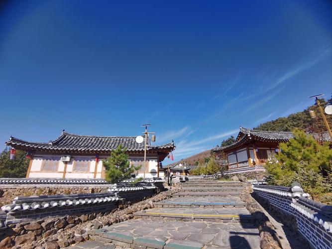 2022韩国樱花开放时间预计