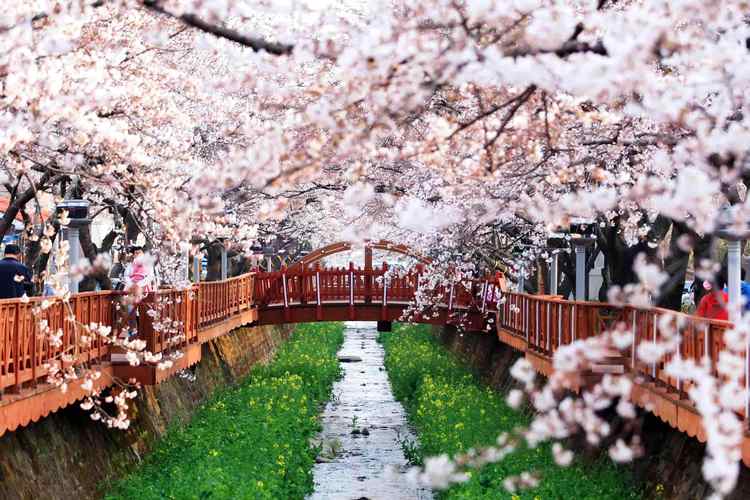 4,5月份春天去韩国旅游,有什么好玩的深度游地方推荐?