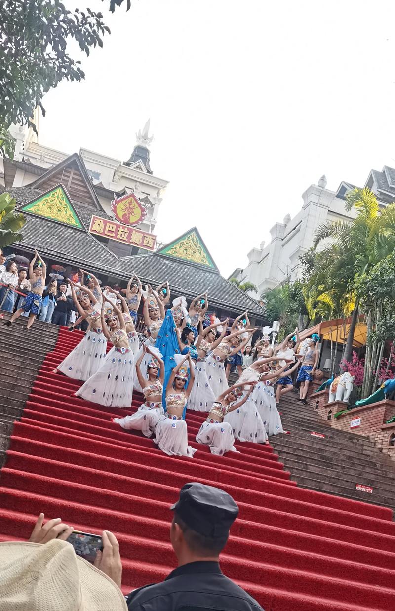 是什么原因吸引全国各地的人蜂拥而至西双版纳