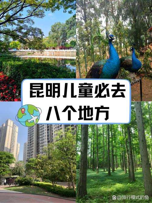 云南适合带6岁娃去玩吗