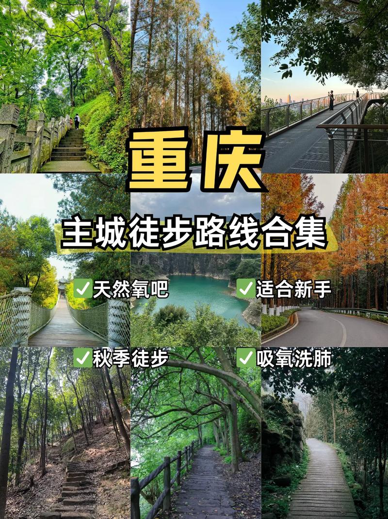 重庆8条经典徒步路线