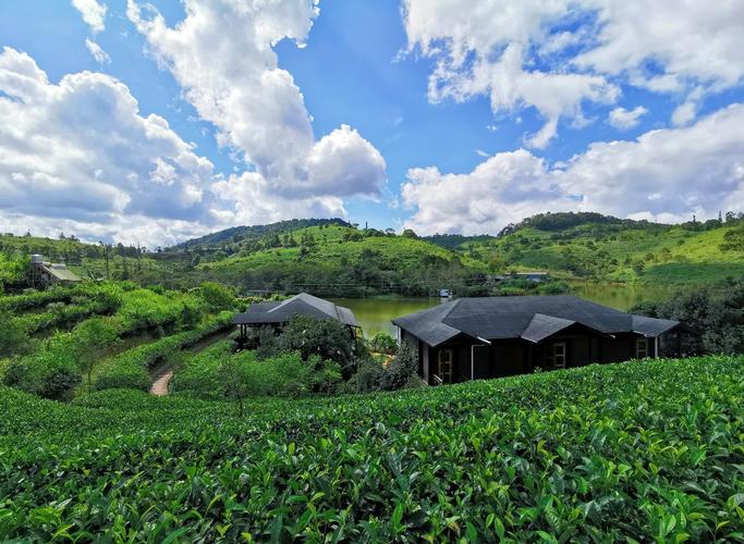 “普洱茶”的故乡,懂茶的人都会去打卡第地方