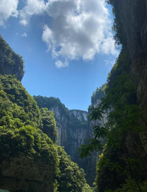 仙女山国家森林公园旅游攻略