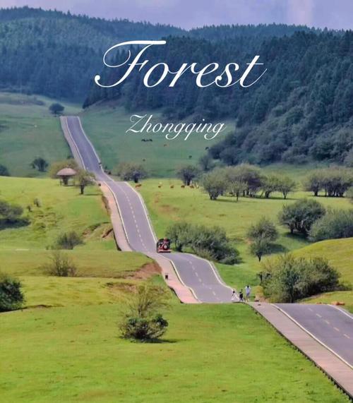 仙女山森林公园自驾攻略