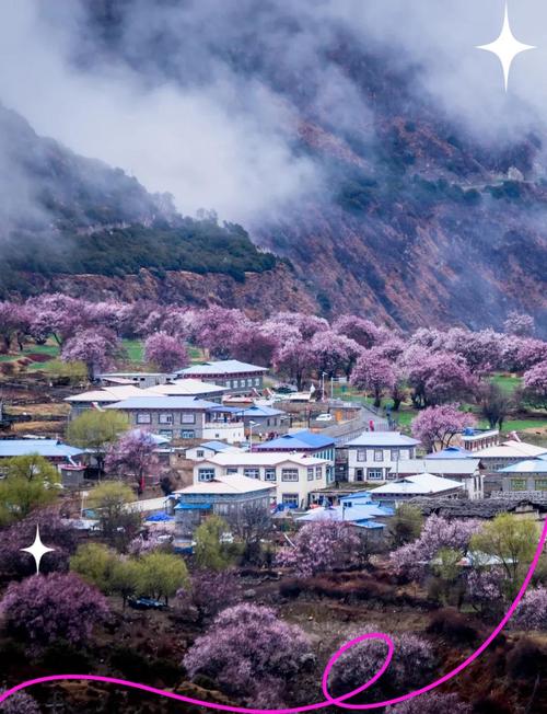 2024年西藏林芝看桃花宝藏全攻略,建议收藏
