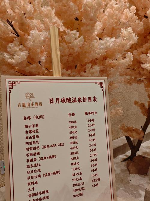 重庆东温泉票价是多少钱