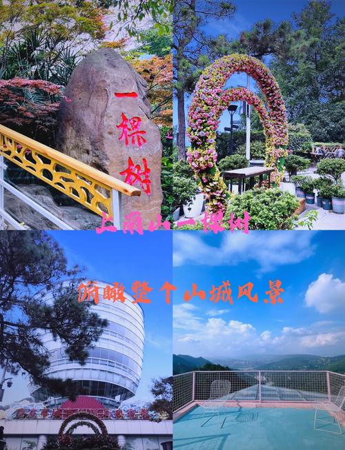 有什么去重庆南山一棵树观景台打卡的攻略?