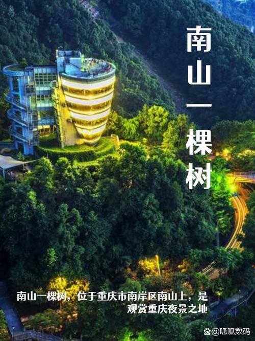 2024重庆南山一棵树观景台门票多少钱
