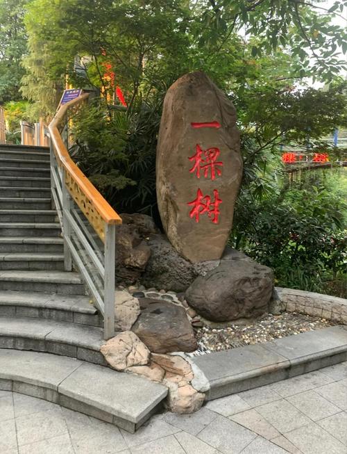 去重庆南山一棵树观景台欣赏美丽夜景的旅行攻略是什么?