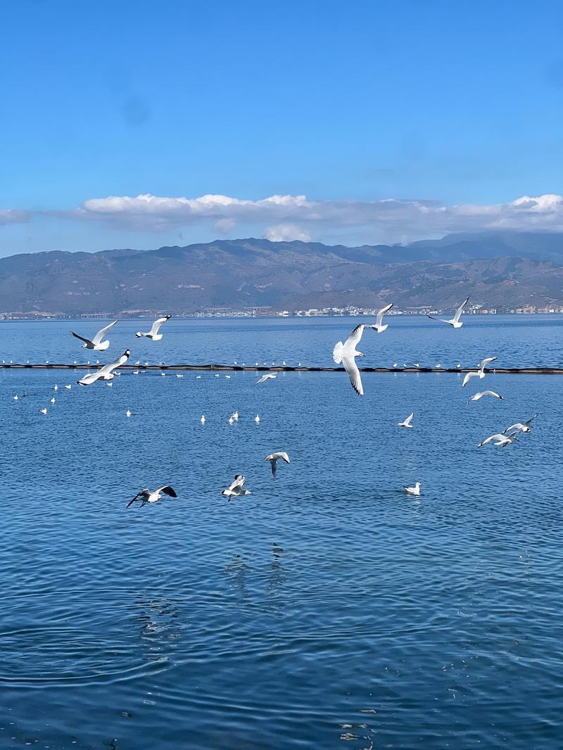 有什么在挖色镇游玩的攻略分享?