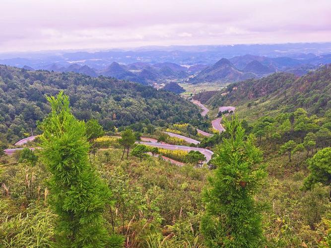 叶拉山九道拐的详细介绍