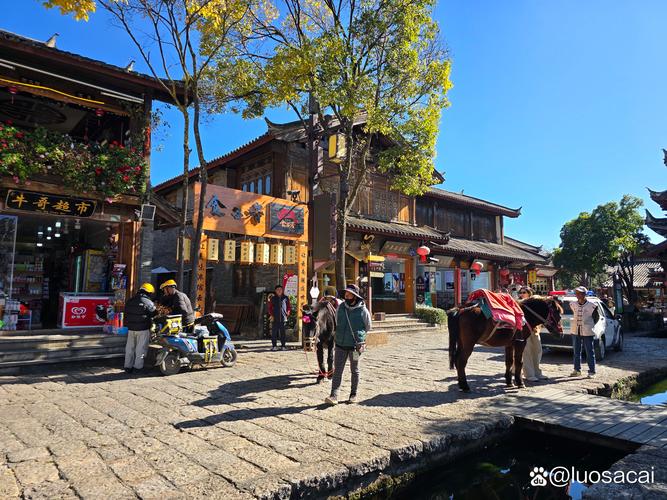 束河古镇和大研古城哪个比较好玩?