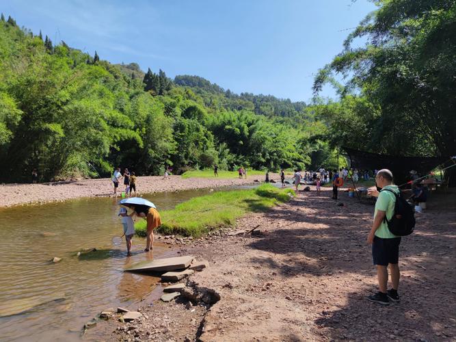 重庆看2025英仙座流星雨的地方