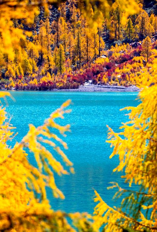 西藏旅游景点攻略二十条