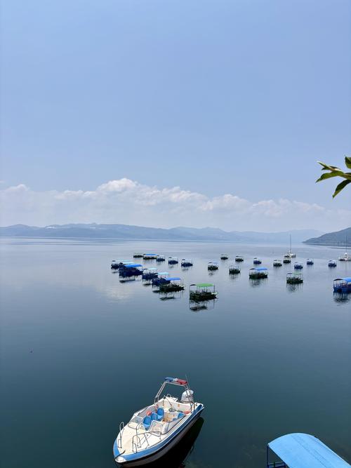 自驾抚仙湖旅游攻略