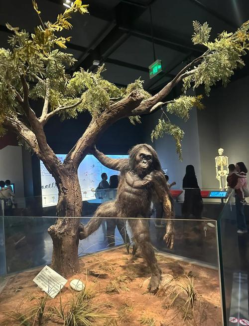 重庆自然博物馆门票预约入口及操作流程