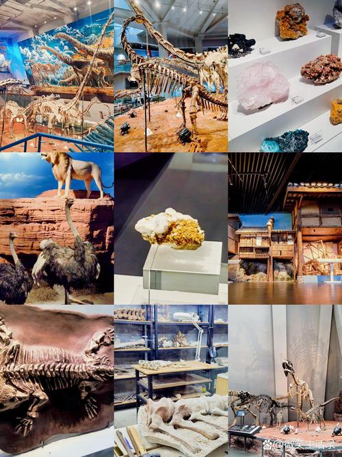 重庆自然博物馆门票及游玩攻略