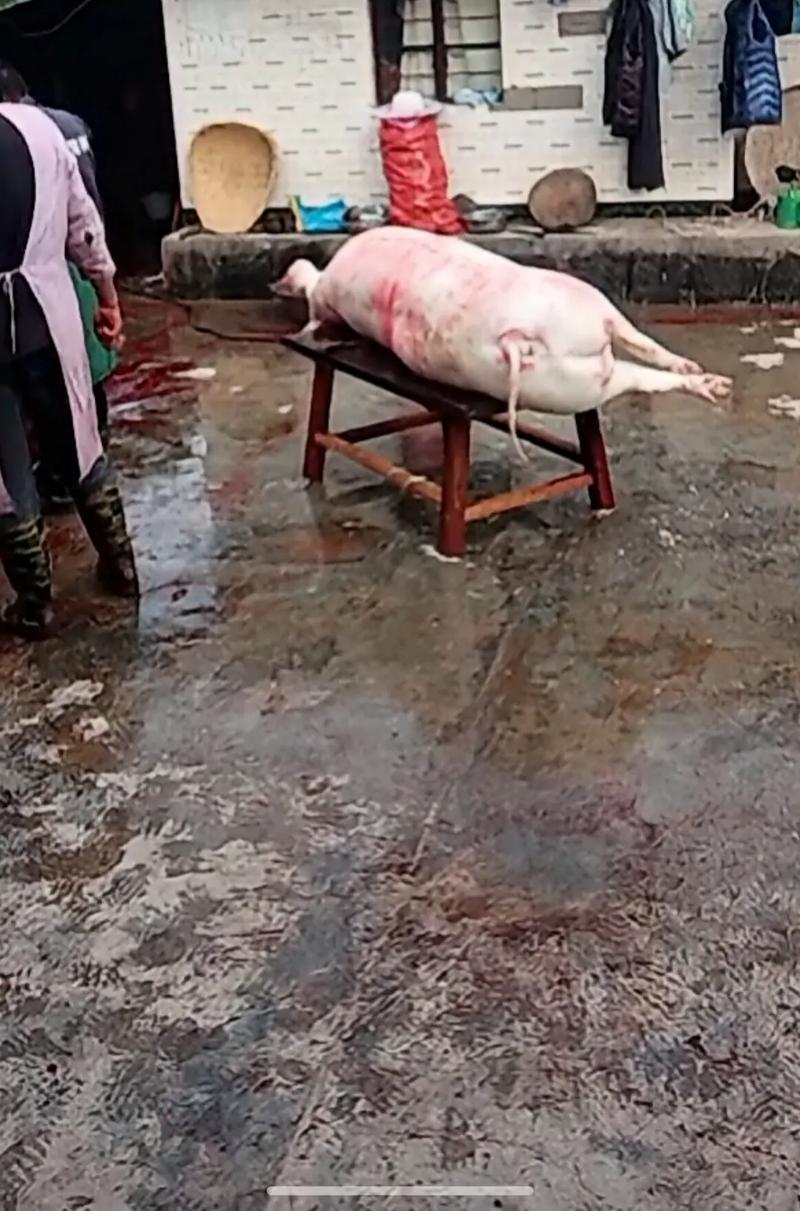 西藏旅游哪些地方好玩,认识不一样的西藏