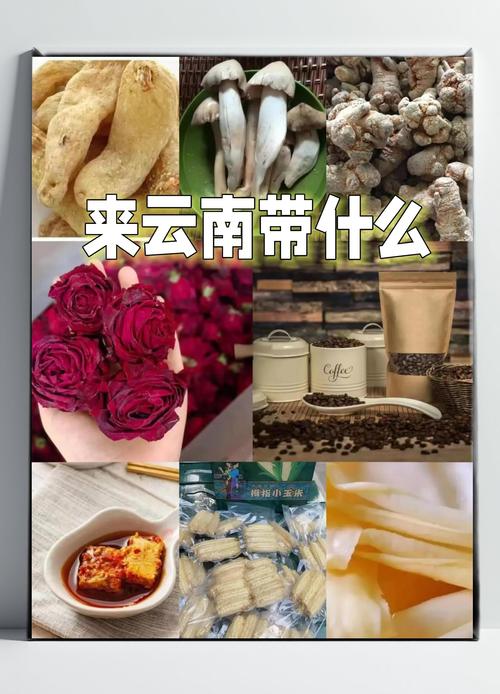 云南购物必买清单