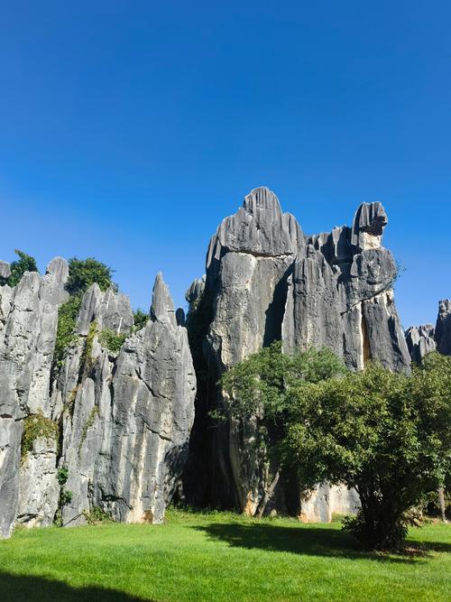 云南好玩的景点必玩前十景点