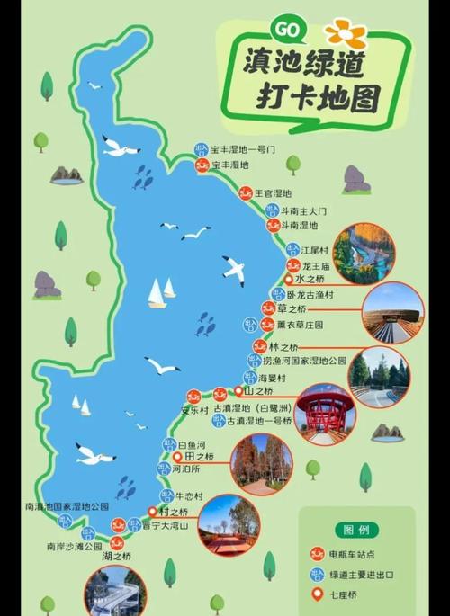 昆明滇池喂海鸥攻略