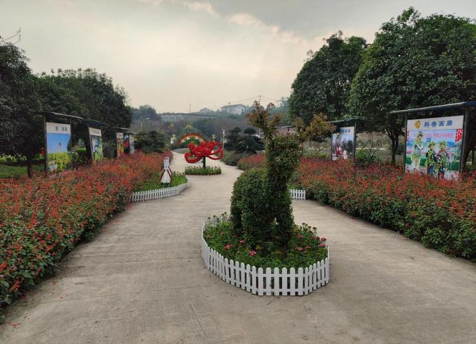 重庆凤凰花海游玩攻略