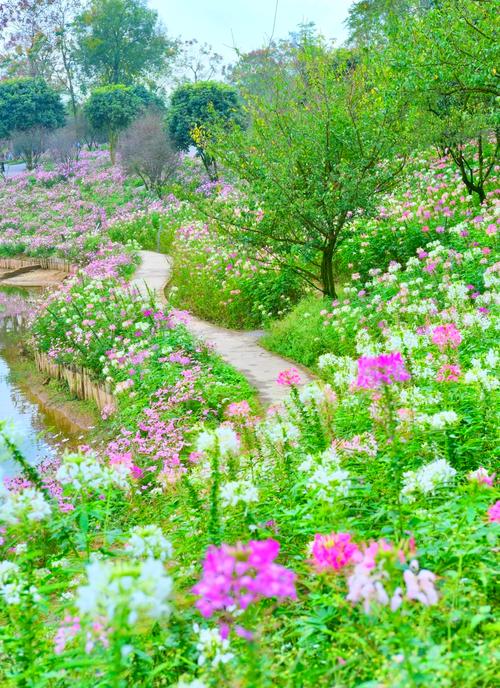重庆花海在哪个地方