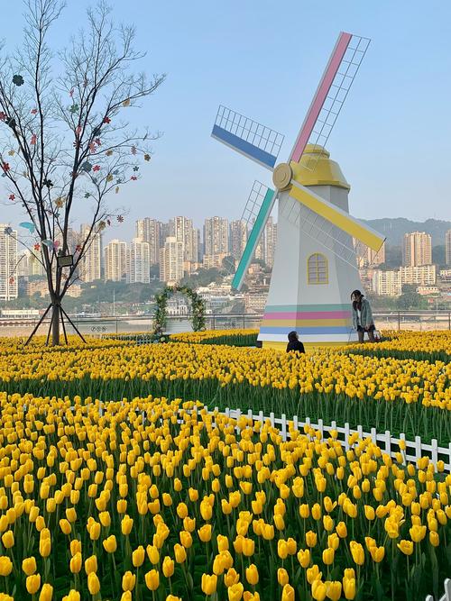 重庆最漂亮的赏花地方