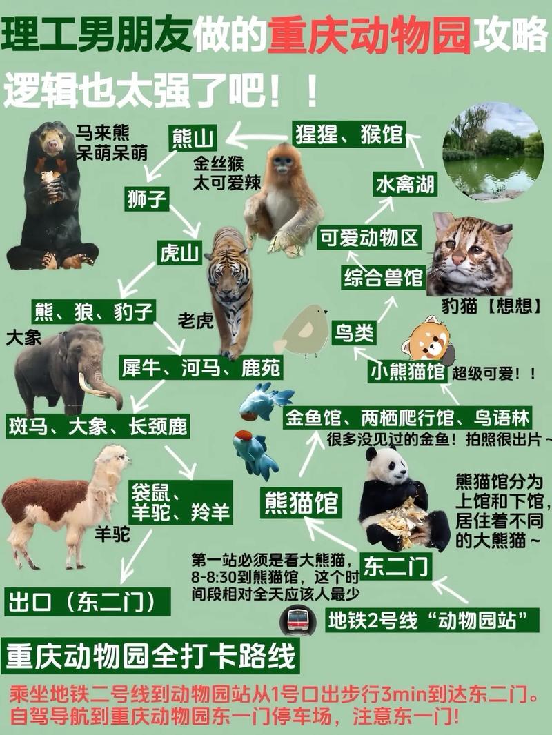 重庆动物园游玩指南