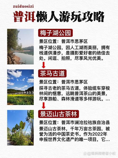 普洱中华普洱茶博览苑旅游攻略