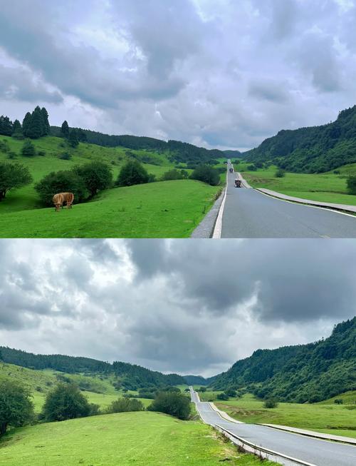 仙女山大草原夏季旅行攻略