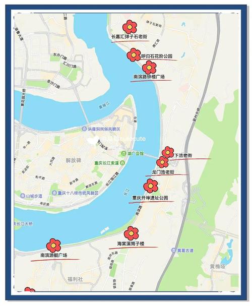 重庆南滨路有哪些很不错的拍照胜地?